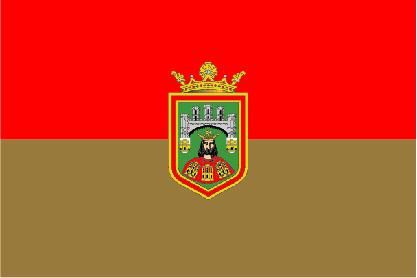 Bandera de Burgos